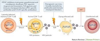 Image result for HIV Exposure