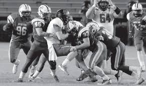 Dutch Fork Silver Foxes–15-0, 5A State Champions!