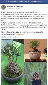 Epingle Par Jennifer Moriau Sur Jardinage Potager Idees Jardin Deco Exterieur Jardin Jardinage Potager