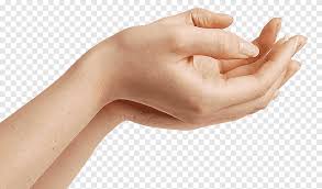 Hand Washing Png Images Pngegg Are you searching for hand wash png images or vector? hand washing png images pngegg