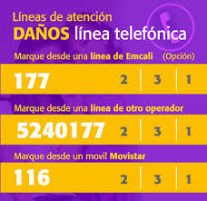 Según emcali tuvieron que retirar cerca de 40 toneladas de desechos sólidos y en lo que ha corrido. Portal De Servicios