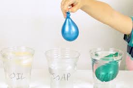 sink or float science experiment using