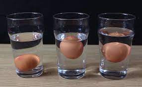 The water test for egg freshness Egg Float Test Tell If Your Expired Eggs Are Still Good To Eat