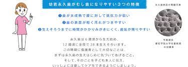 Q＆A集 子の歯イロハ｜保護者のみなさんへ｜小学生歯みがき研究サイト 歯みがKids