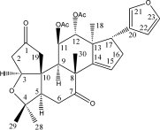 Image result for Turraea mombassana