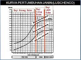 Saya hamil 4 bulan kurang semingguan lagi. Tabel Berat Badan Bayi Prematur Bagaimana Penjelasannya