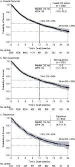 Check spelling or type a new query. Two Year Survival With Nivolumab In Previously Treated Advanced Non Small Cell Lung Cancer A Real World Pooled Analysis Of Patients From France Germany And Canada Lung Cancer