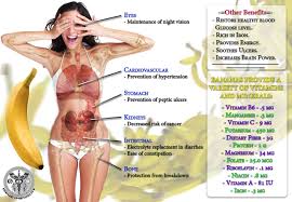 Are bananas good for you when you are constipated? no. Surprising Benefits Of Banana You Better Start Eating Bananas United Spirituality