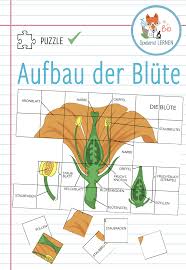 Pin Auf Biologie Sekundarstufe Unterrichtsmaterialien