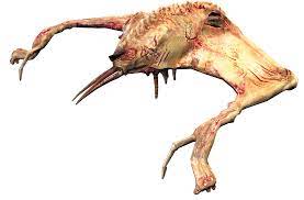 Infector