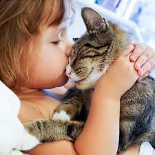 TOP 10 BEST Guinea Pig in Bellevue, WA