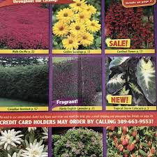 60 Free Seed Catalogs And Plant Catalogs