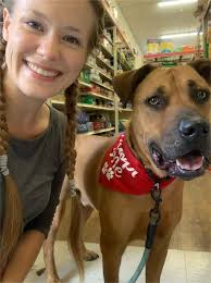 Dog Adoption in Jacksonville Florida