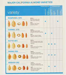 almond varieties