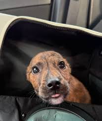 UPDATED 5/13 at 10am: Turning off comments