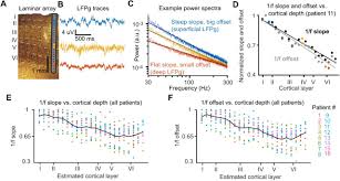 The timescale and magnitude of 1/f aperiodic activity decrease with  cortical depth in humans, macaques, and mice