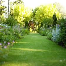 Gardening, but with emojis and less time. Rectangular Garden Design Plan