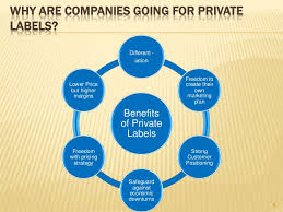Also called private label brands are products developed by retailers manufacturer brands national brands brands owned and managed by the manufacturer ex. Private Labels