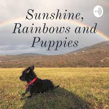 Here at rainbows end puppies, we specialize in goldendoodles, golden mountain doodles and bernedoodles in all colors and exotic patterns, such as tri, p arti, abstract, sable, phantom and merle. Sunshine Rainbows And Puppies Podcast Donna Rhodes Wizinsky Listen Notes