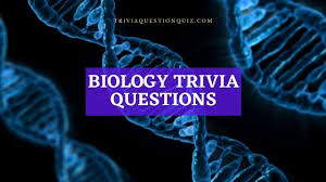 From buzzing insects, ballooning spiders, screeching bats and over 10,000 species of birds, you have many a winged animal taking flight. Science Archives Trivia Qq