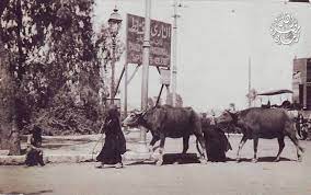 أسوان يوضح حقيقة مفاوضات الزمالك مع نجم الفريق. Ø£Ù‡Ù„ Ù…ØµØ± Ø²Ù…Ø§Ù† ØµÙˆØ±Ø© Ù…Ù† Ø£Ù…Ø§Ù… Ù†Ø§Ø¯ÙŠ Ø§Ù„Ø²Ù…Ø§Ù„Ùƒ ÙÙŠ Ø§Ù„Ù‚Ø§Ù‡Ø±Ø© Ø³Ù†Ø© Facebook