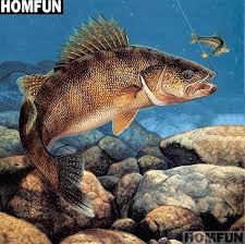 5d Diamond Painting Fish On The Rock Bottom Kit Fish Painting Fish Drawings Fish Art