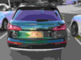 Image result for Azorean Green 2018 Q5