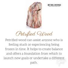 Petrified Wood Crystal Meaning Crystalmeanings Crystal Meanings And Uses Crystal Meanings And Uses Crystal Petrified Wood Petrified Wood Meaning Crystals