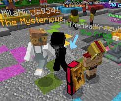 We specialise in creating games that are fun for all! How Does This Person Have What Looks Like A Custom Cape This Is On The Hive Server On Bedrock Edition Minecraft