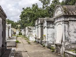 Image result for graveyard with houses