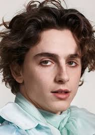 Fan Casting Timothée Chalamet as Dorian Gray in The Picture of Dorian Gray 