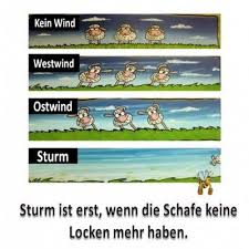 Funpot Ein Pot Voller Spass Und Sehenswertem Funny Humor Real Life