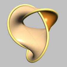 Image result for seifert surface