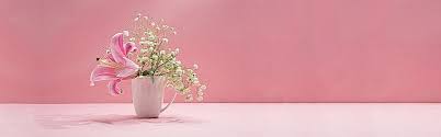 Fresh And Simple Pink Background Pink Photo Background Flower Background Images Pink Background Images