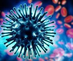 Los antígenos internos específicos de tipo, np y m1 y los existen dos tipos de cambios principalmente: AlertÄƒ In Romania Virusul Care A Ucis Deja Peste O SutÄƒ De Oameni Se Extinde Evenimentul Zilei