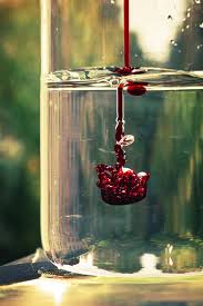 The nature of sparkling water means that people sometimes confuse or conflate its properties with those of carbonated sodas. Is Blood Thicker Than Water An Investigation Into Covenants And Bloodshed On The Battlefield By Kameron Abilla Medium