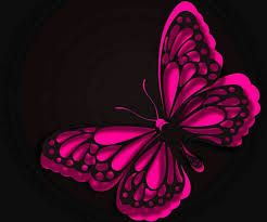Beautiful Black And Purple Butterfly Love It Pink And Black Butterfly Hot Pink Butterfly Butterfly Wallpaper Pink Butterfly