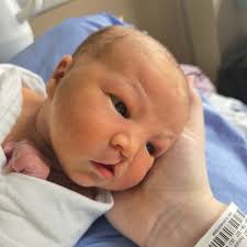 Frosted by Elisha is happy to announce the arrival of our newest crew  member