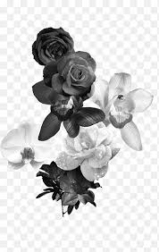 The answer to both of these questions is, “it all depends on your perspective.” nobody is entirely right or entirely wrong, because how we define the word “color” is completely subjective. Flower Black And White Png Images Pngegg