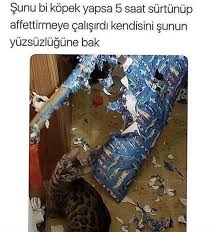 Zamira Akhmadova Adli Kullanicinin Komik Panosundaki Pin 2020 Komik Seyler Komik Capsler Komik Goruntuler