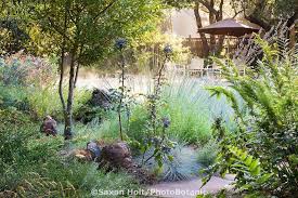 Holt 992 0136 Cr2 Photobotanic Stock Photography Garden Library Native Plant Gardening California Native Plants California Native Garden