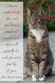 Purrfectly Pawsitive 50 Cat Quotes Boom2bloom Com Kitten Quotes Cats Cat Having Kittens
