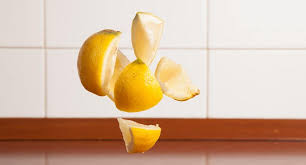 All our services are all guaranteed providing you our customers protection going forwards. How To Get Rid Of Fruit Flies In 1 Easy Step Pest Control Everything