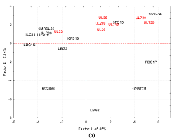 Foods Free Full Text Unravelling The Potential Of Lactococcus Lactis Strains To Be Used In Cheesemaking Production As Biocontrol Agents Html