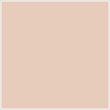 E7cbbb Hex Color Rgb 231 203 187 Double Spanish White Orange Red Peach