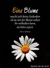 Diese Blume Strahlt Etwas Ganz Besonderes Aus Spruche Zitate Spruche Lebensweisheiten Spruche