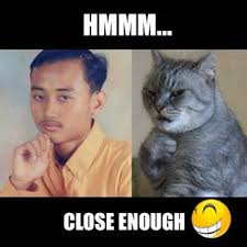  Download 1000 Gambar Lucu Gratis Konyol Dan Kocak Abis Gambar Lucu Lucu Semuanya Lucu