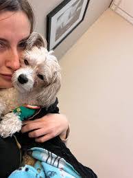 Amber Breedlove's Instagram, Twitter & Facebook