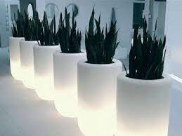 Blumentopf innen blumentopf lantia terraform moderne blumentopfe fur innen moderne blumentopf blumenschale 48 cm groa pflanzgefaa abertopf blumentopf steinschale ubertopfe gross fur innen Zimmerpflanzen Schon In Szene Setzen Schunk Interieur Gmbh The Relaxfactory Pressemitteilung Lifepr