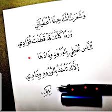 منى الشامسي Words Quotes Study Quotes Inspirational Words